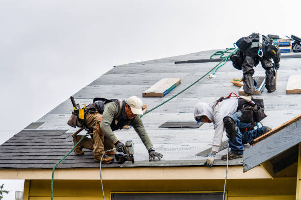 Professional Storm Damage Roof Repair technician working in Currie, NC